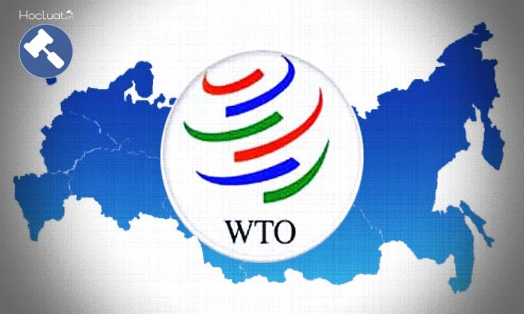 Nghiên cứu kết luận của Cơ quan giải quyết tranh chấp WTO về vấn đề tổ chức công trong quy định về trợ cấp