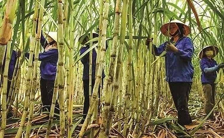 Bộ Công Thương ban hành Quyết định áp dụng biện pháp chống bán phá giá và chống trợ cấp chính thức đối với sản phẩm đường mía có xuất xứ từ  Thái Lan (Mã số vụ việc: AD13-AS01)