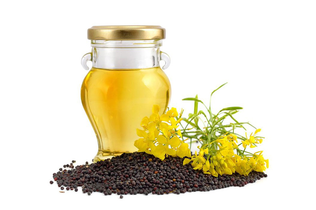 Trung Quốc gia hạn điều tra chống bán phá giá đối với hạt cải dầu Ca-na-đa đến năm 2026