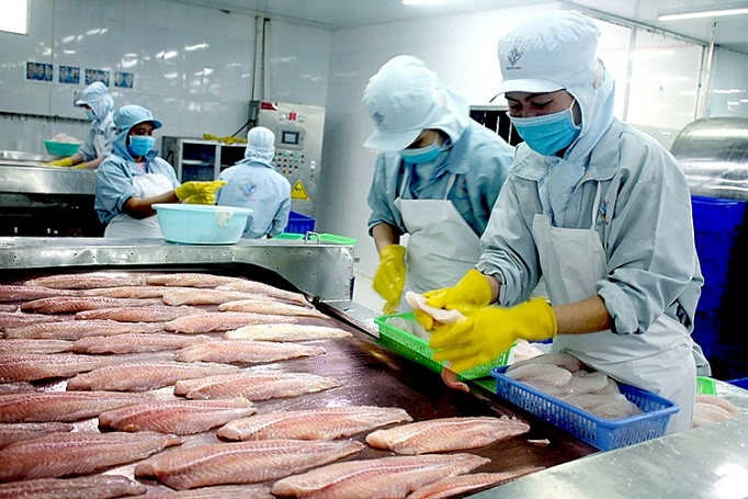 Hoa Kỳ ban hành Kết luận cuối cùng của đợt rà soát hành chính lần thứ 19 (POR19) thuế chống bán phá giá đối với cá tra Việt Nam xuất khẩu sang Hoa Kỳ