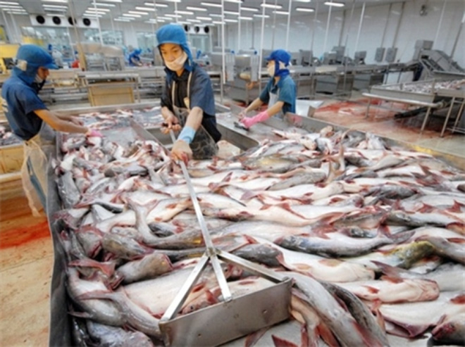 Tiểu ban Y tế - Ủy ban Năng lượng và Thương mại Hoa Kỳ tổ chức phiên điều trần về Chương trình thanh tra cá da trơn