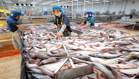Hoa Kỳ ban hành kết luận sơ bộ đợt rà soát hành chính thuế chống bán phá giá lần thứ 17 (POR17) đối với cá tra, basa nhập khẩu từ Việt Nam