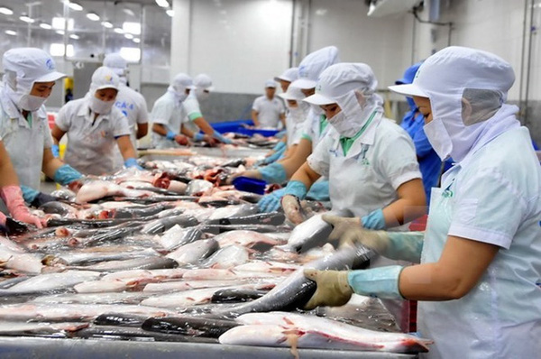 Có thêm các nhà lập pháp của Hạ viện ủng hộ việc hủy bỏ Chương trình giám sát cá da trơn của Bộ Nông nghiệp Hoa Kỳ